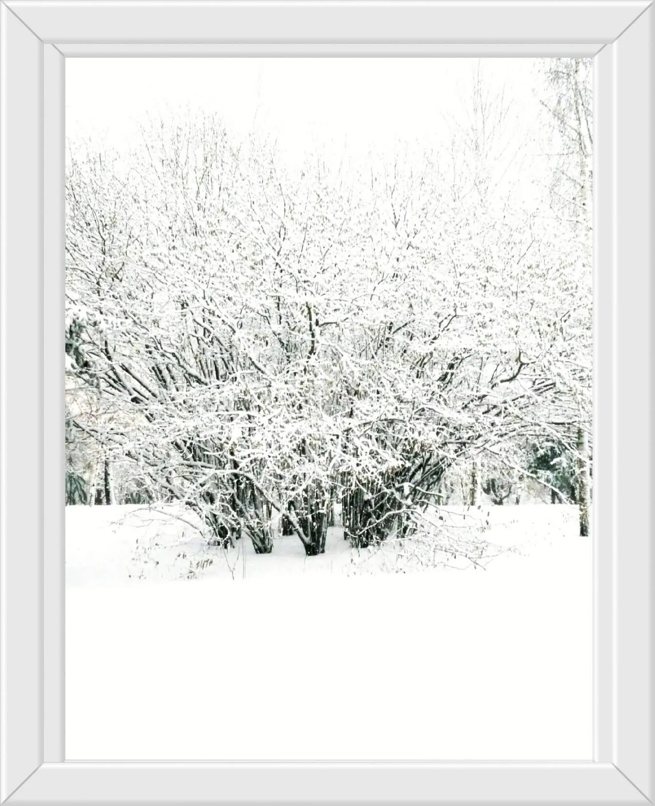 Всё так снежно...