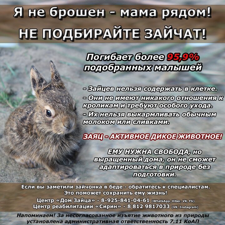 Я не твой. Я мамин!