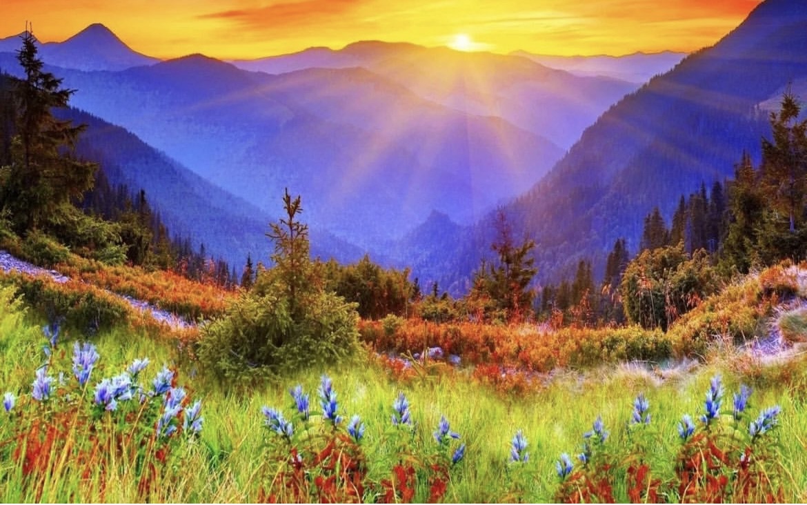 Жизнь поекрасна!