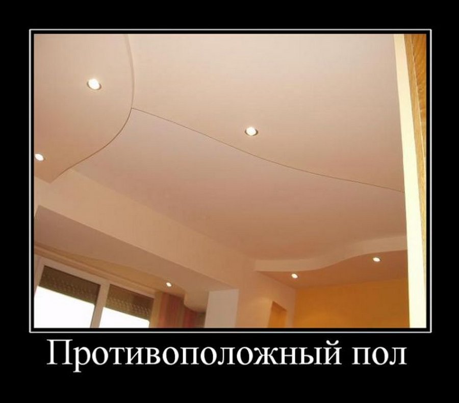 Кот ездит попой по полу. Кошка трется о ноги. Кот ластится к ногам. Кот вытирает зад. Кот катается по полу.