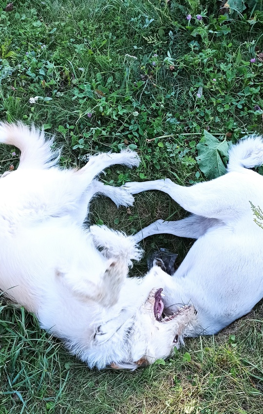 Был когда-то