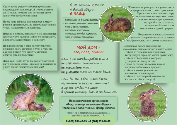 Не бери меня домой!