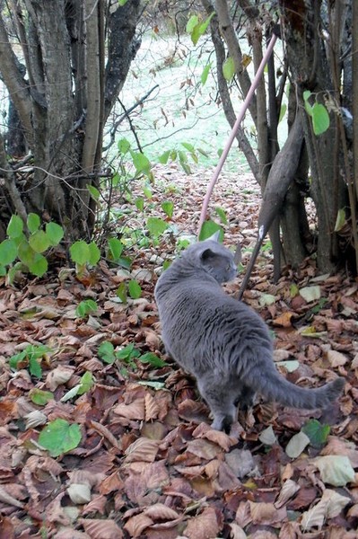 Дорога в осень