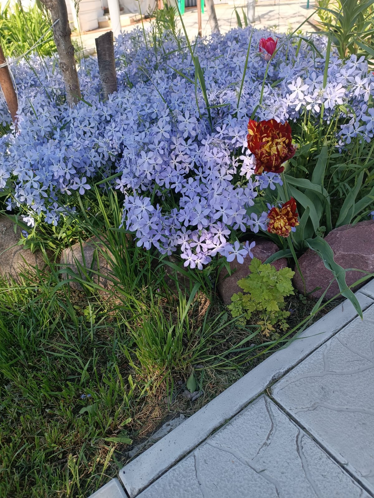 Загадки для детей!