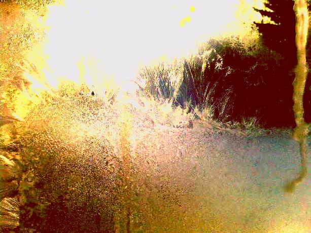 Мастерица дева - осень