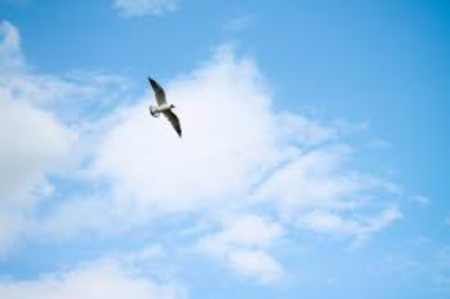 От погодных перемен