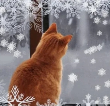 С первым снегом