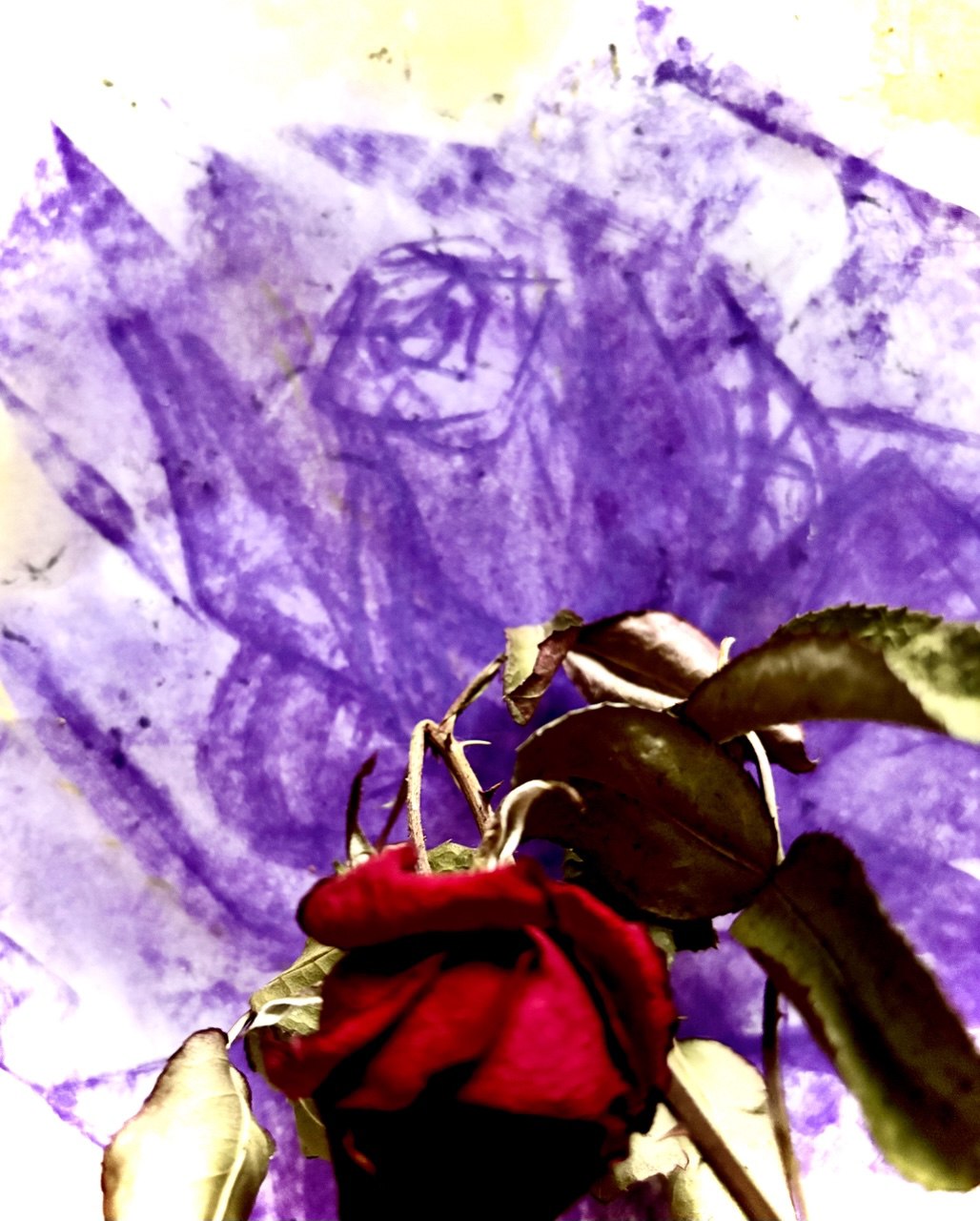 Чистота на бескрайних просторах