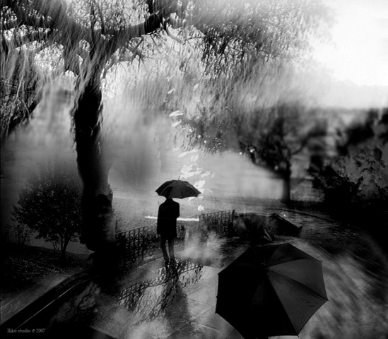 Утренние туманы