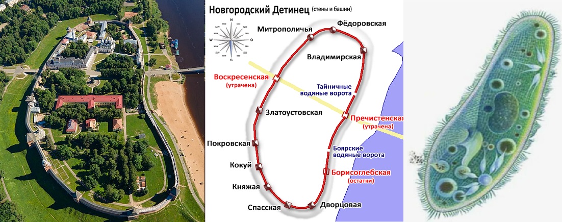 Инф Узор и Я