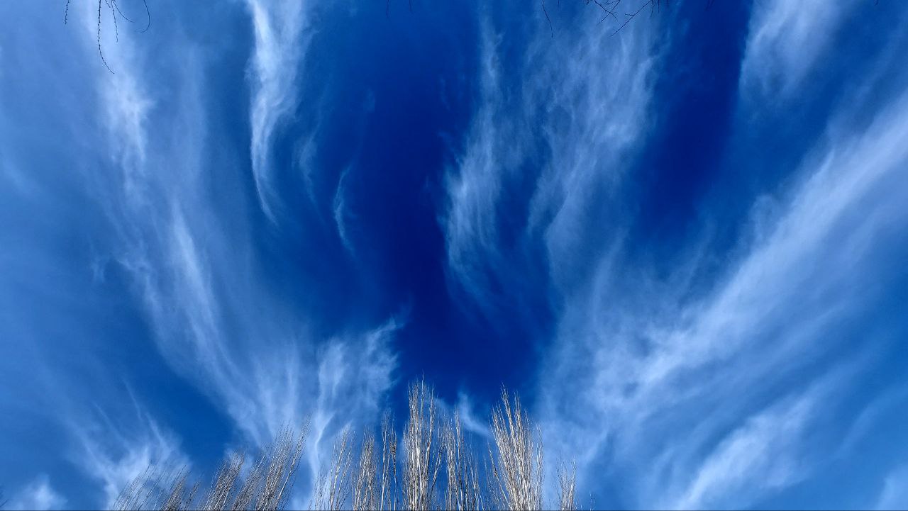 Времена года