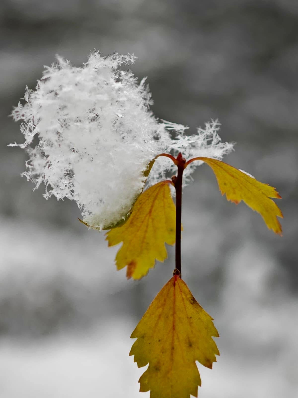 Наш мир - мгновение