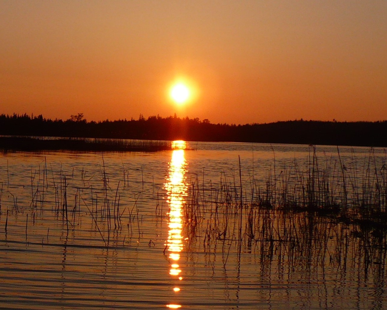 Ночью белой