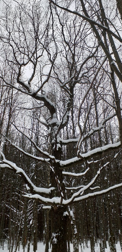 У алтаря