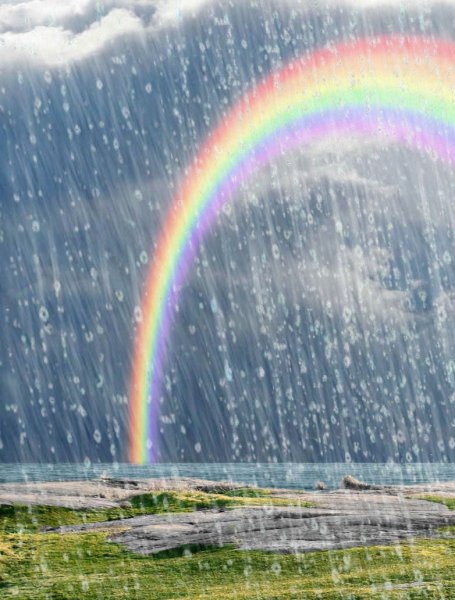 Прикосновения природы