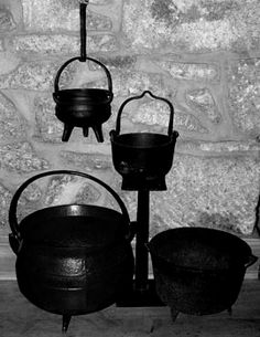 Крышка на ветви