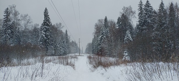 2024г. Хотела в сумрачные ночи. 1178