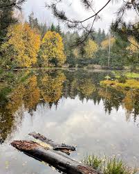 Пра Беларусь