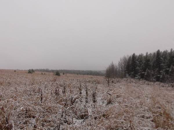 Обилие красок зима превратила...