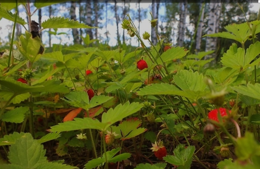 Стоянка поезда одна минута