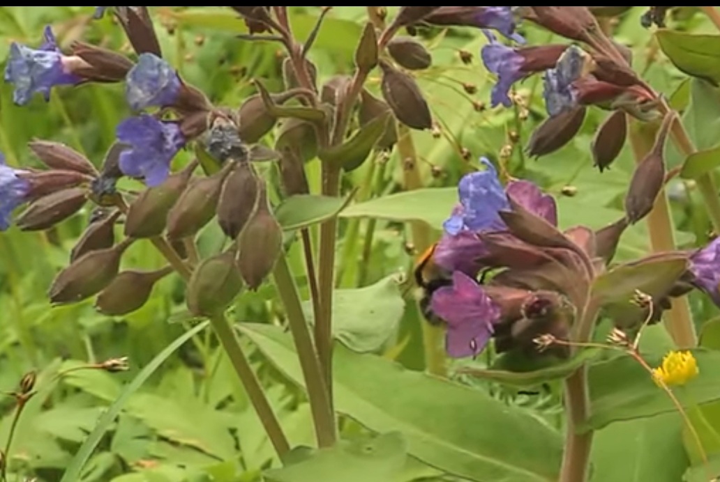 Обусловленности - хочу создать свою мечту...