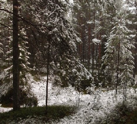Время идёт в зимнее время...