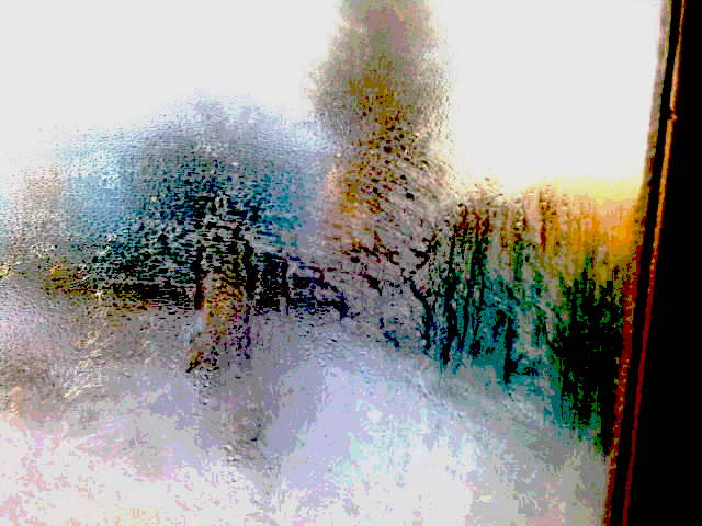 Два упругих крыла