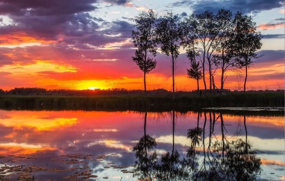 Не могу наглядеться...