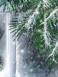 Предновогодний Снег