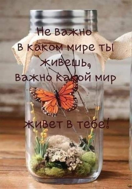 Красота спасёт мир