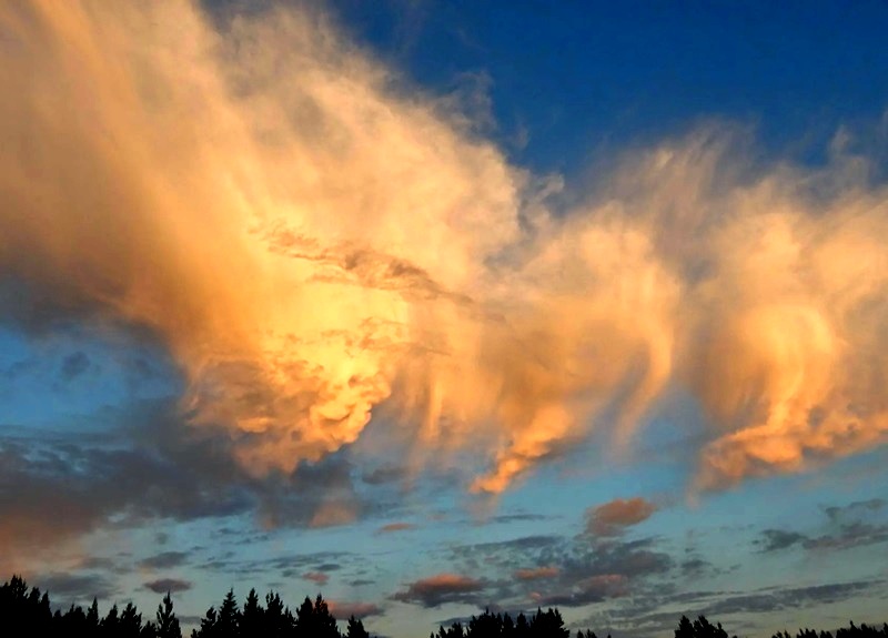 Солнечная лента, или 12 кругов