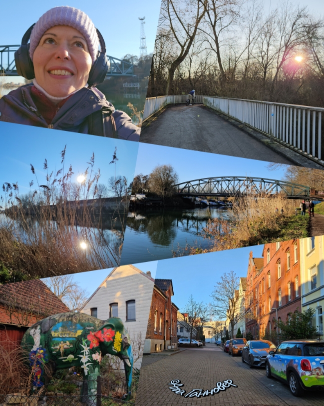 Феерия декабрьского дня