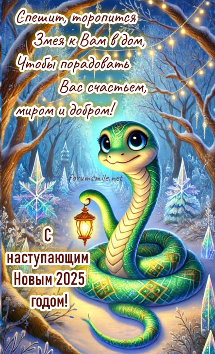 3766.jpg