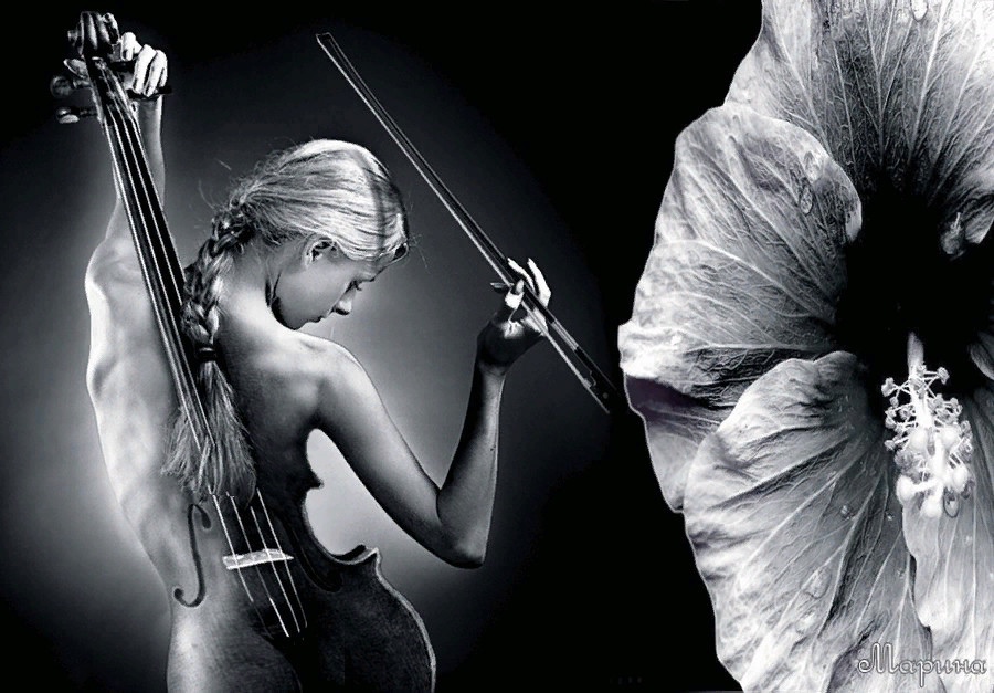 Симфония любви