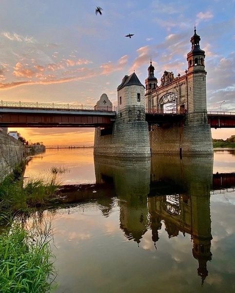 Посвящение Ростку