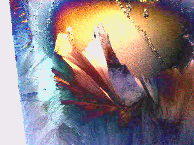 Иду по вящей славе строк