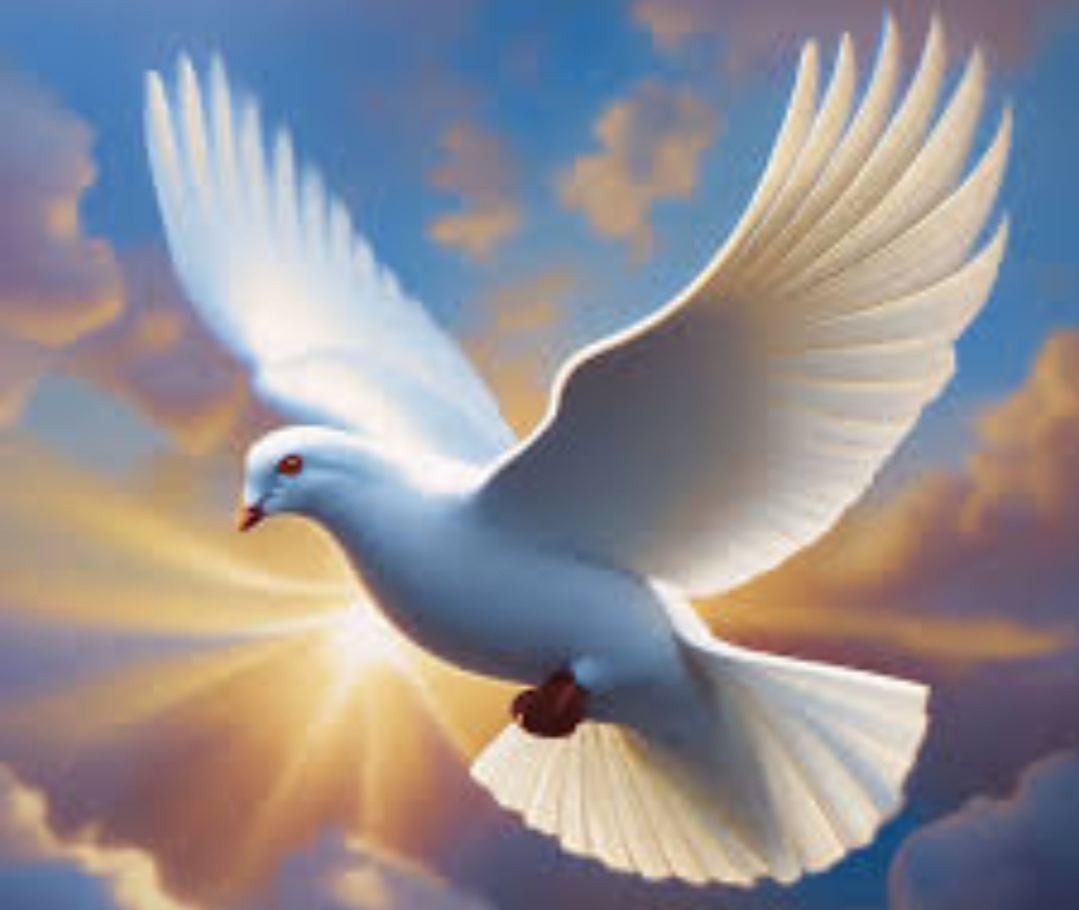 Picture background