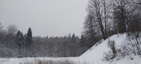 2025г. Прощаться с нами Вам негоже. 1192