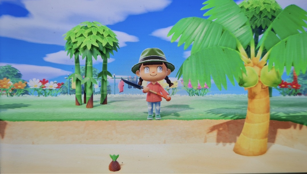 Остров средь южных широт