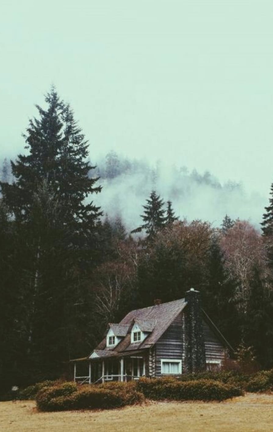 Дом на краю леса