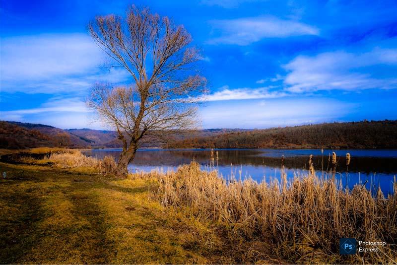 Весенние ветра