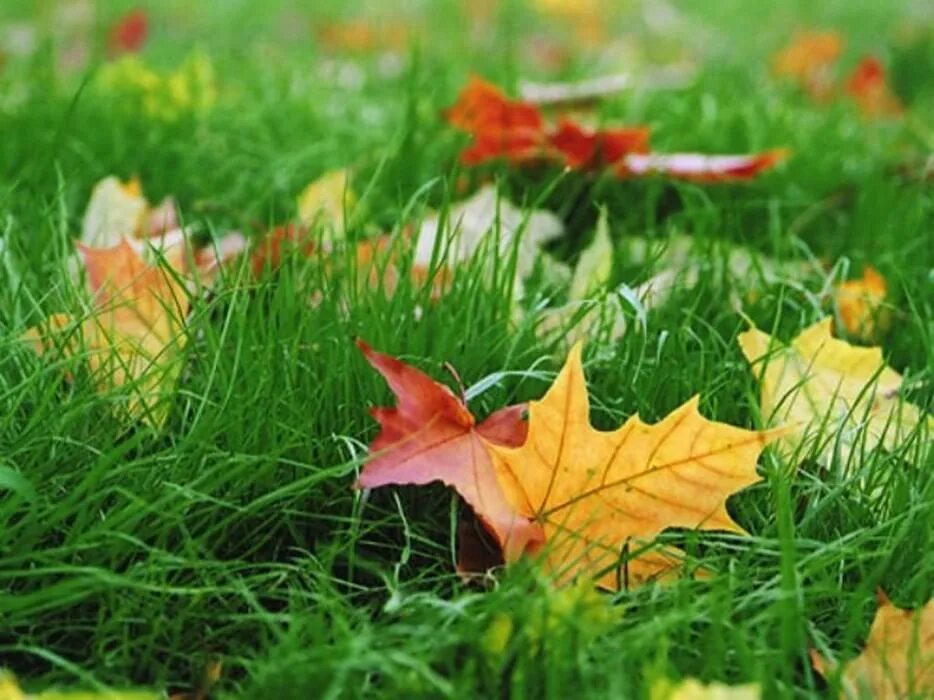 За рассветом неминуем закат...