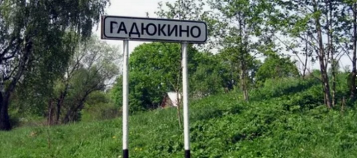 Чтоб такую, женой?