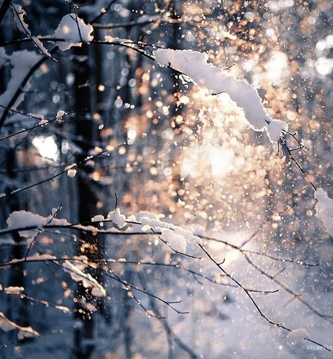 Нам не хватает тишины