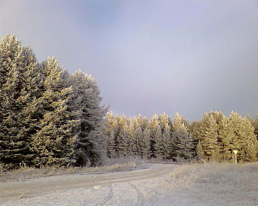Зима в своих, волшебных свойствах...
