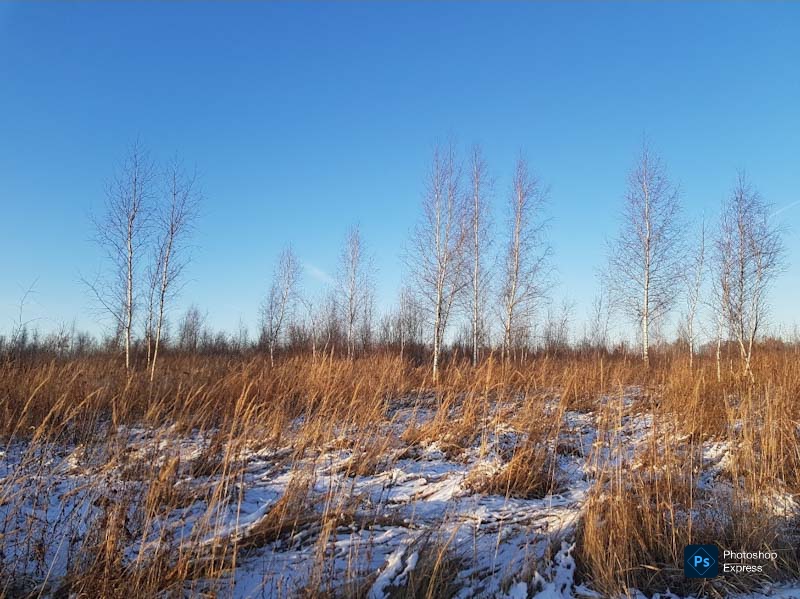 Где травами шумит земля