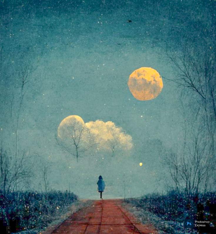 Заблудился мотылёк в тумане