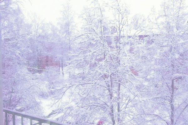 День под Рождество