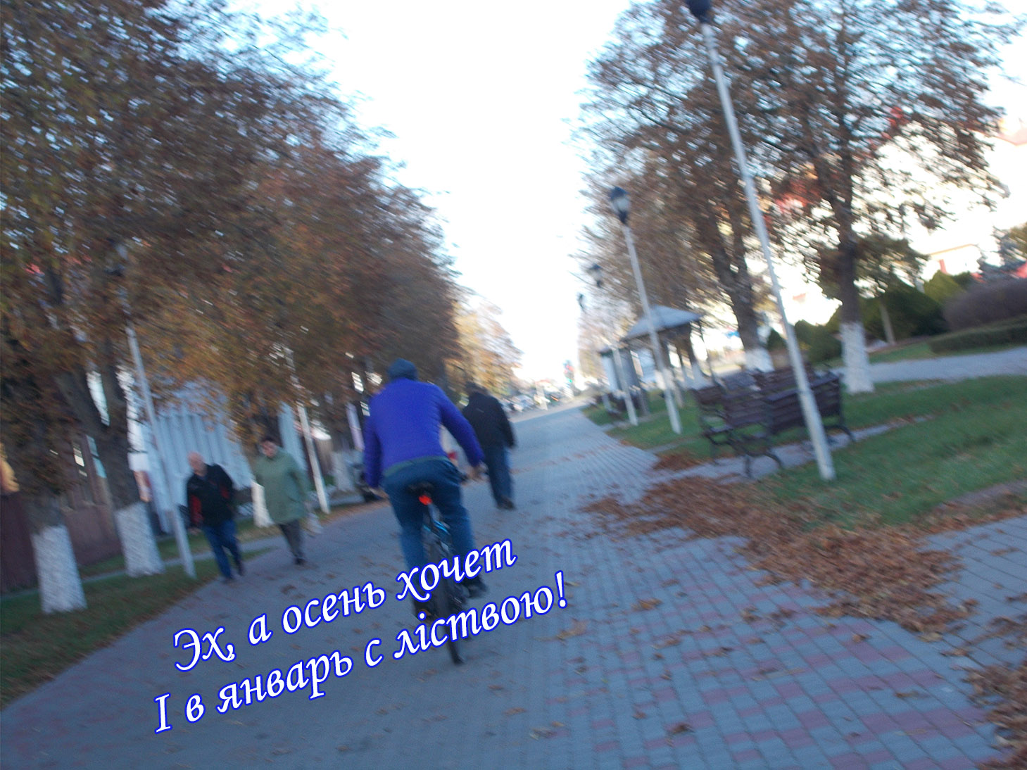 А на диваны гармошка страдае