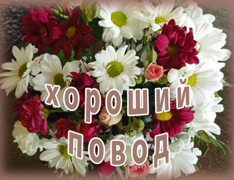Хороший повод